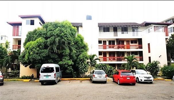 The Mango Lodge Kingston Exterior foto