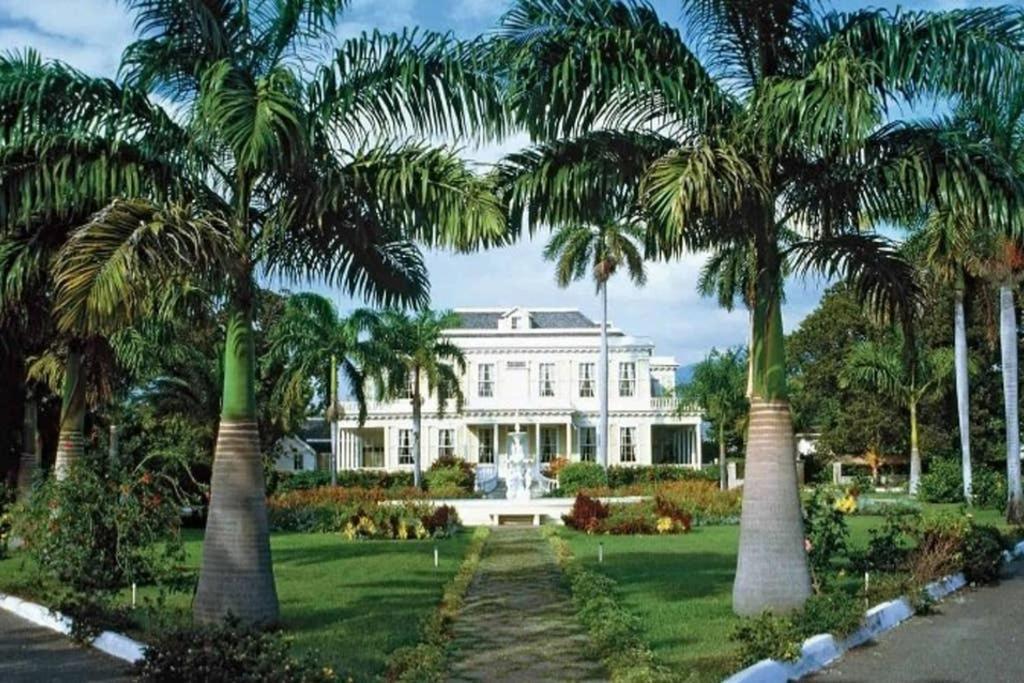 The Mango Lodge Kingston Exterior foto